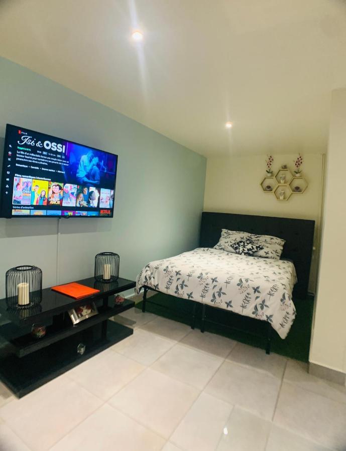 Appartement Cosy Proche Roissy Cdg Asterix Disneyland Paris Goussainville  Exterior foto